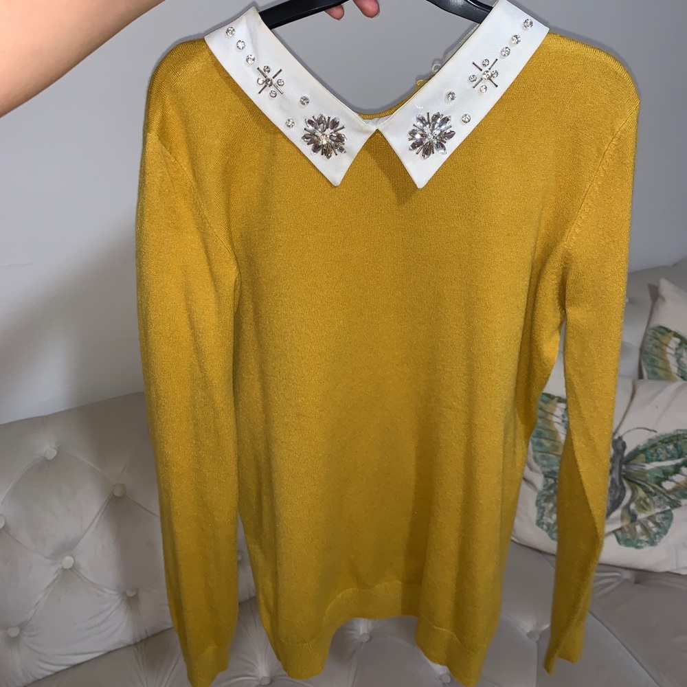 Zara Wool blend collar sweater